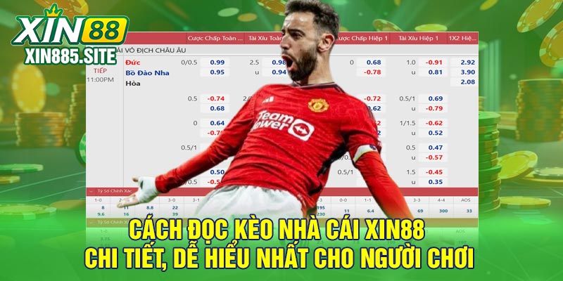 Cách đọc kèo nhà cái Xin88 chi tiết, dễ hiểu nhất cho người chơi