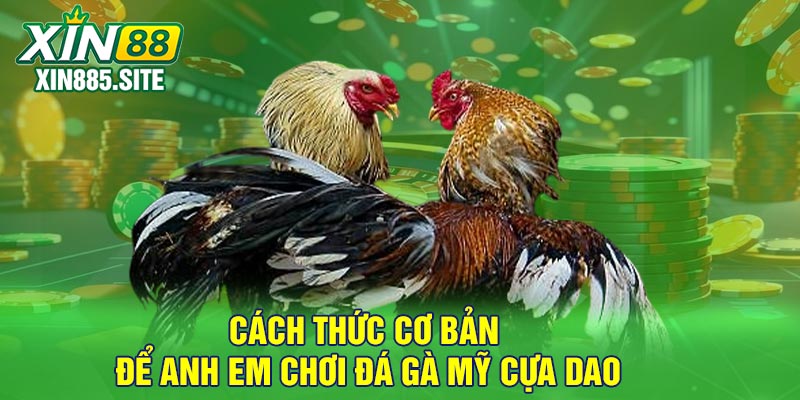 Cách thức cơ bản để anh em chơi đá gà Mỹ cựa dao