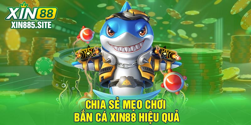 Chia sẻ mẹo chơi bắn cá Xin88 hiệu quả