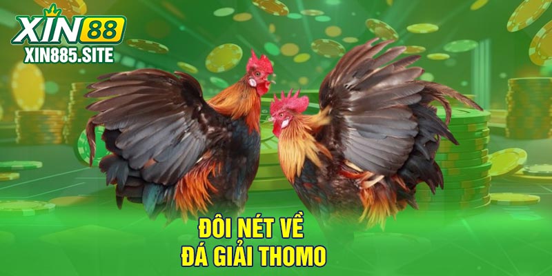 Đôi nét về đá giải Thomo