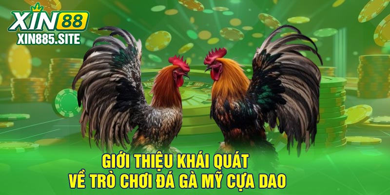 Giới thiệu khái quát về trò chơi đá gà Mỹ cựa dao