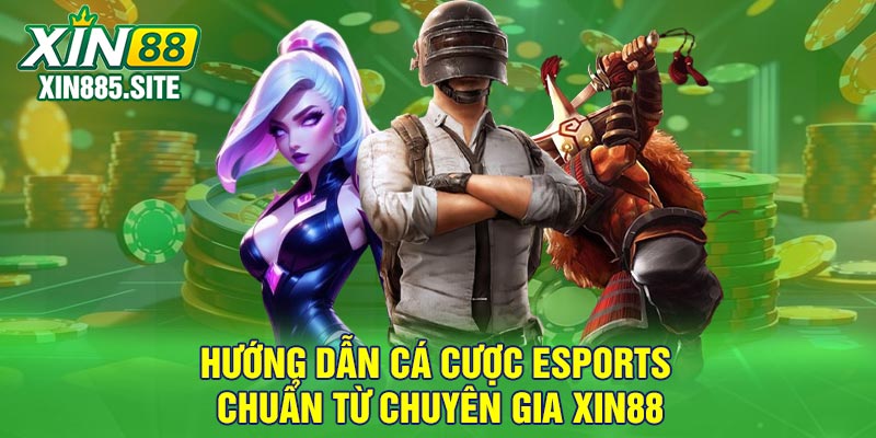 Hướng dẫn cá cược Esports chuẩn từ chuyên gia Xin88