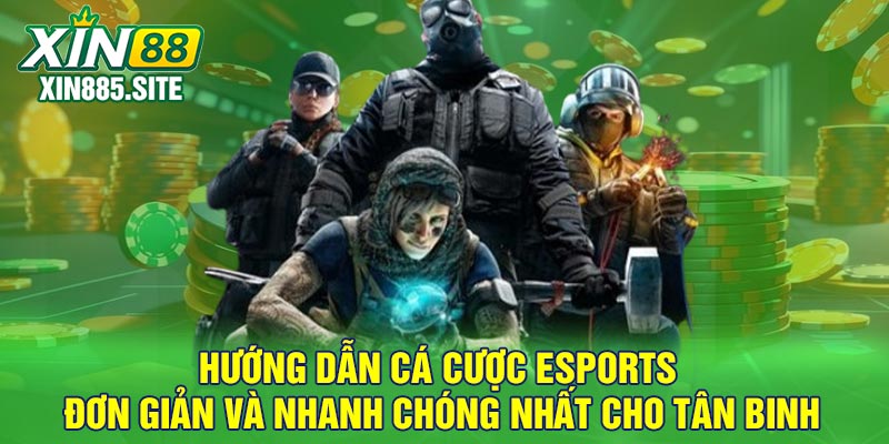 Hướng dẫn cá cược Esports đơn giản và nhanh chóng nhất cho tân binh