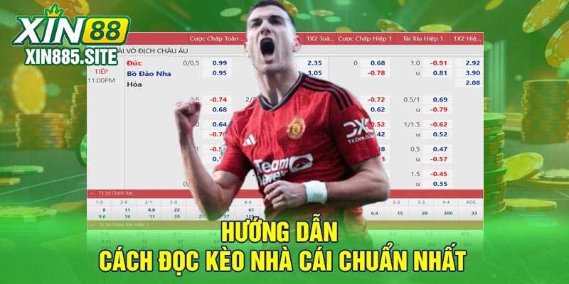 Hướng dẫn cách đọc kèo nhà cái chuẩn nhất