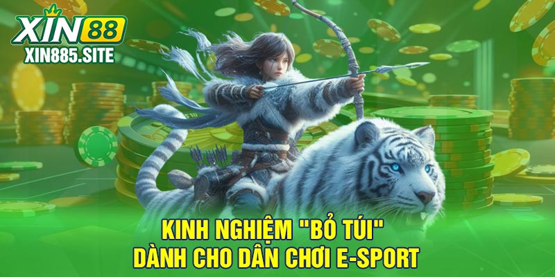 Kinh nghiệm "bỏ túi" dành cho dân chơi E-sport