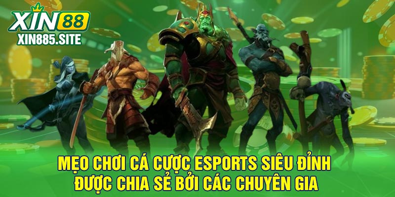 Mẹo chơi cá cược Esports siêu đỉnh được chia sẻ bởi các chuyên gia