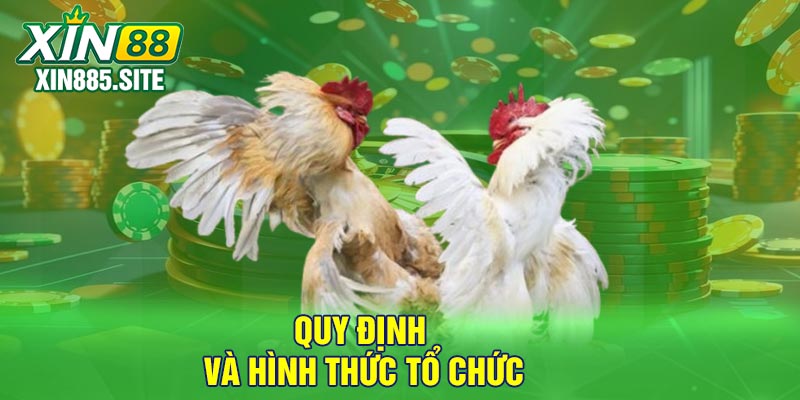 Quy định và hình thức tổ chức