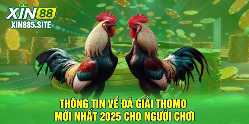 Thông tin về đá giải Thomo mới nhất 2025 cho người chơi
